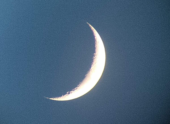 wp-1465554098816 image