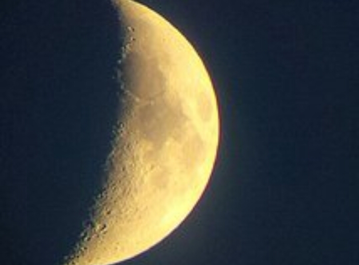 wp-1465557604968 image