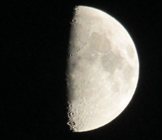 wp-1465557969401 image