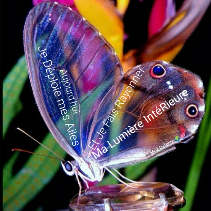 wp-1473419738539 image