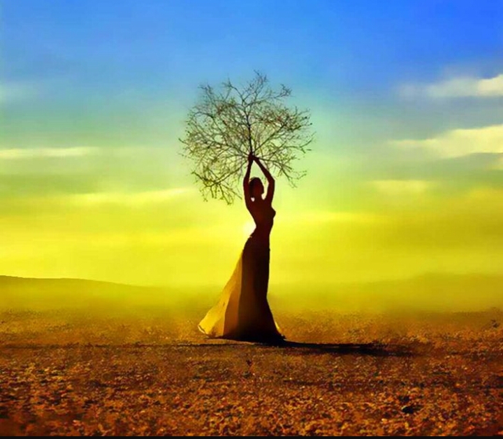 wp-1474387984900 image