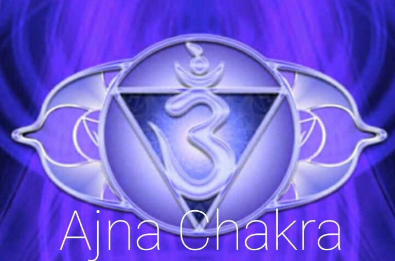 wp-1478352819290 image