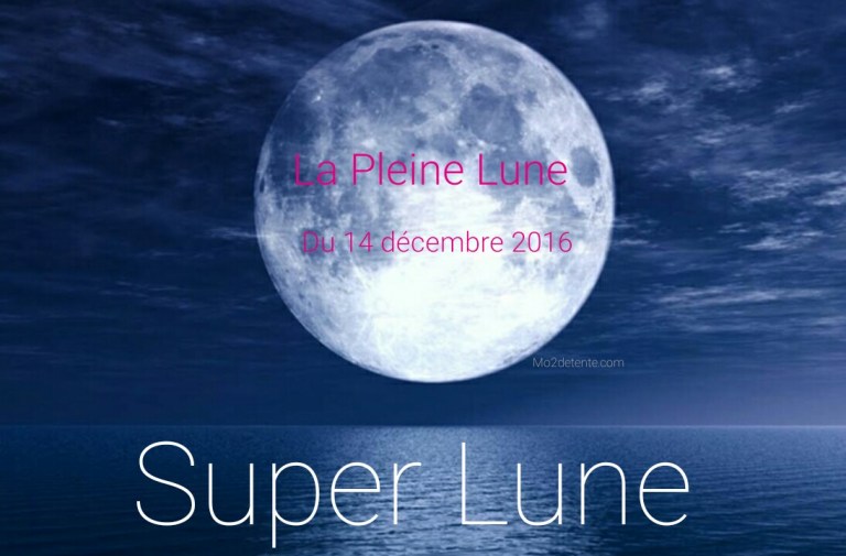 wp-1481619026787 image