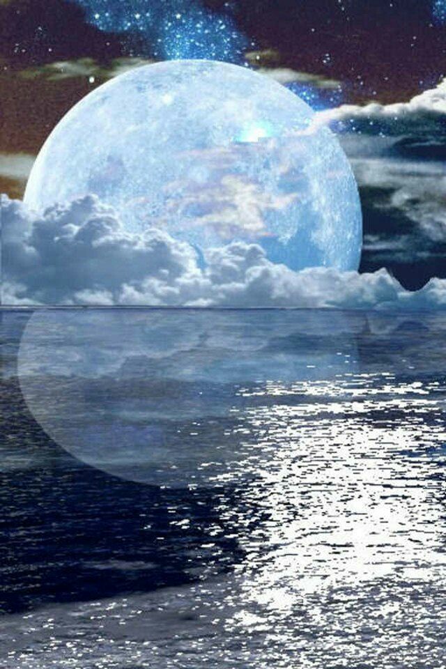 wp-1481621186936 image